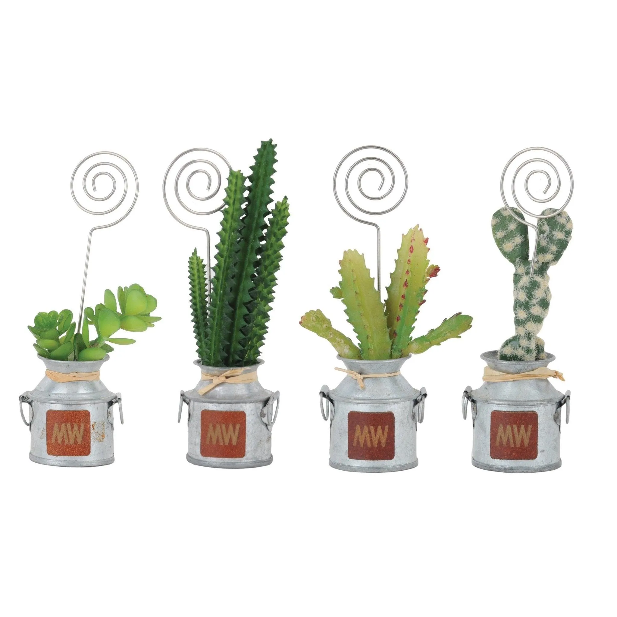 Cactus Polaroid Holders