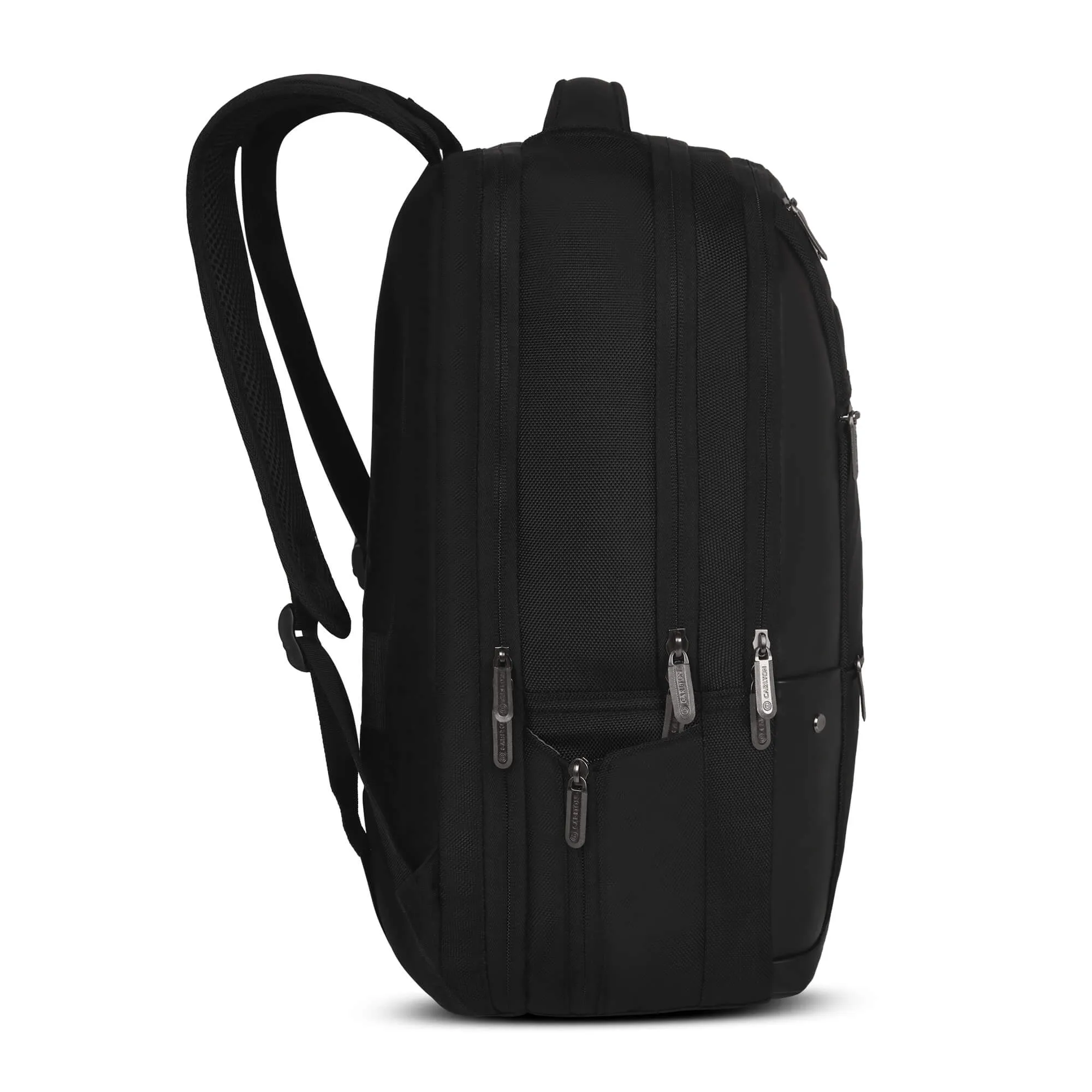 Carlton Hampshire Laptop backpack