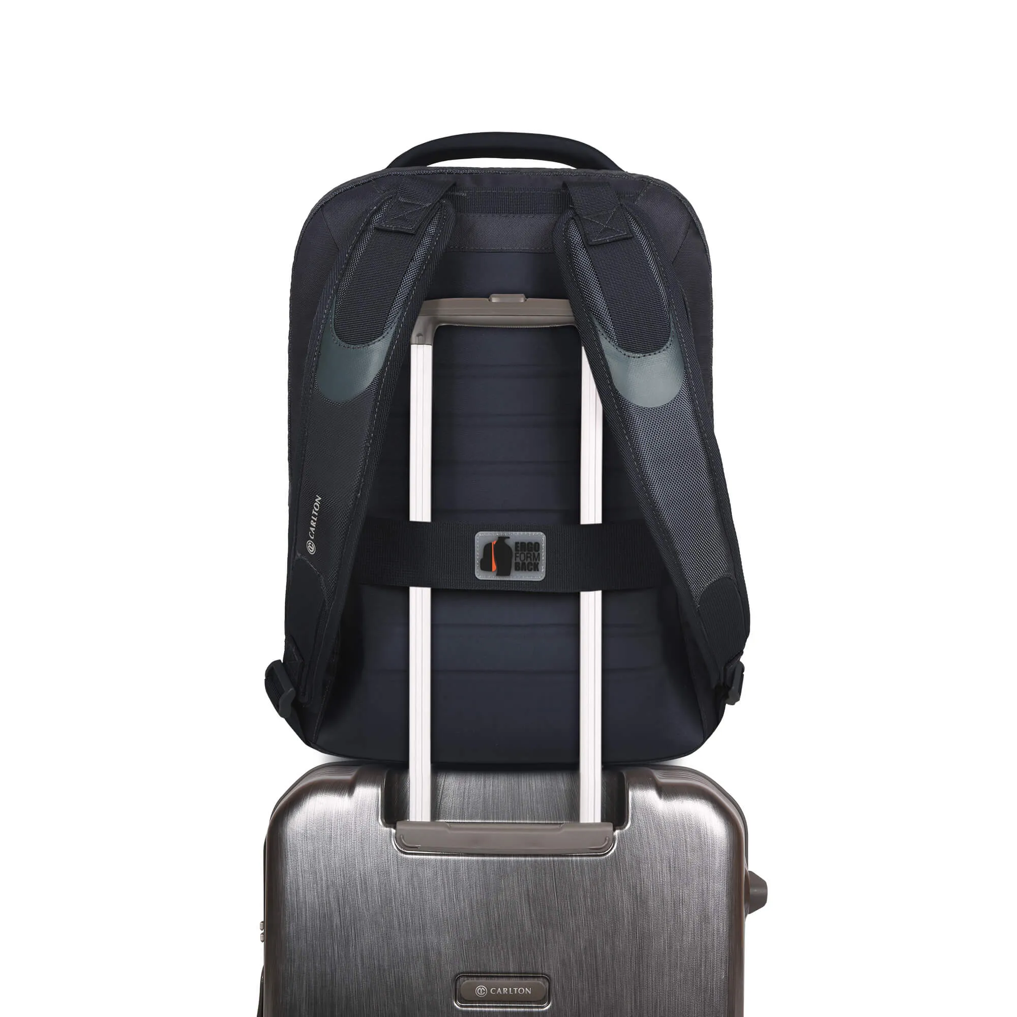Carlton Hampshire Laptop backpack