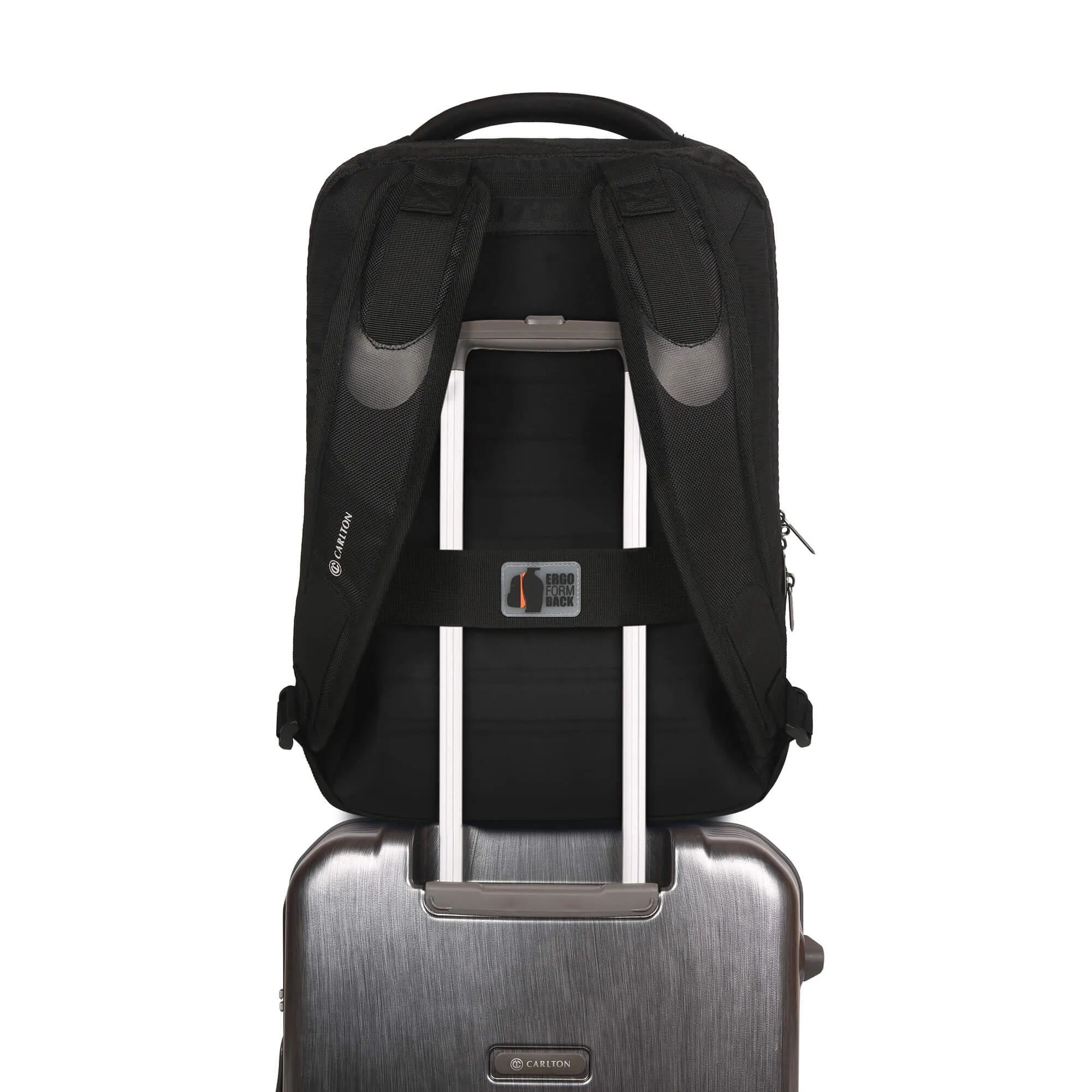Carlton Hampshire Laptop backpack