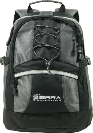 Dezine Computer Backpack