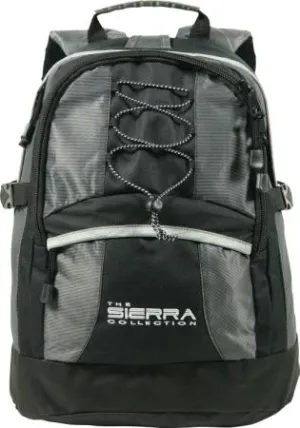 Dezine Computer Backpack