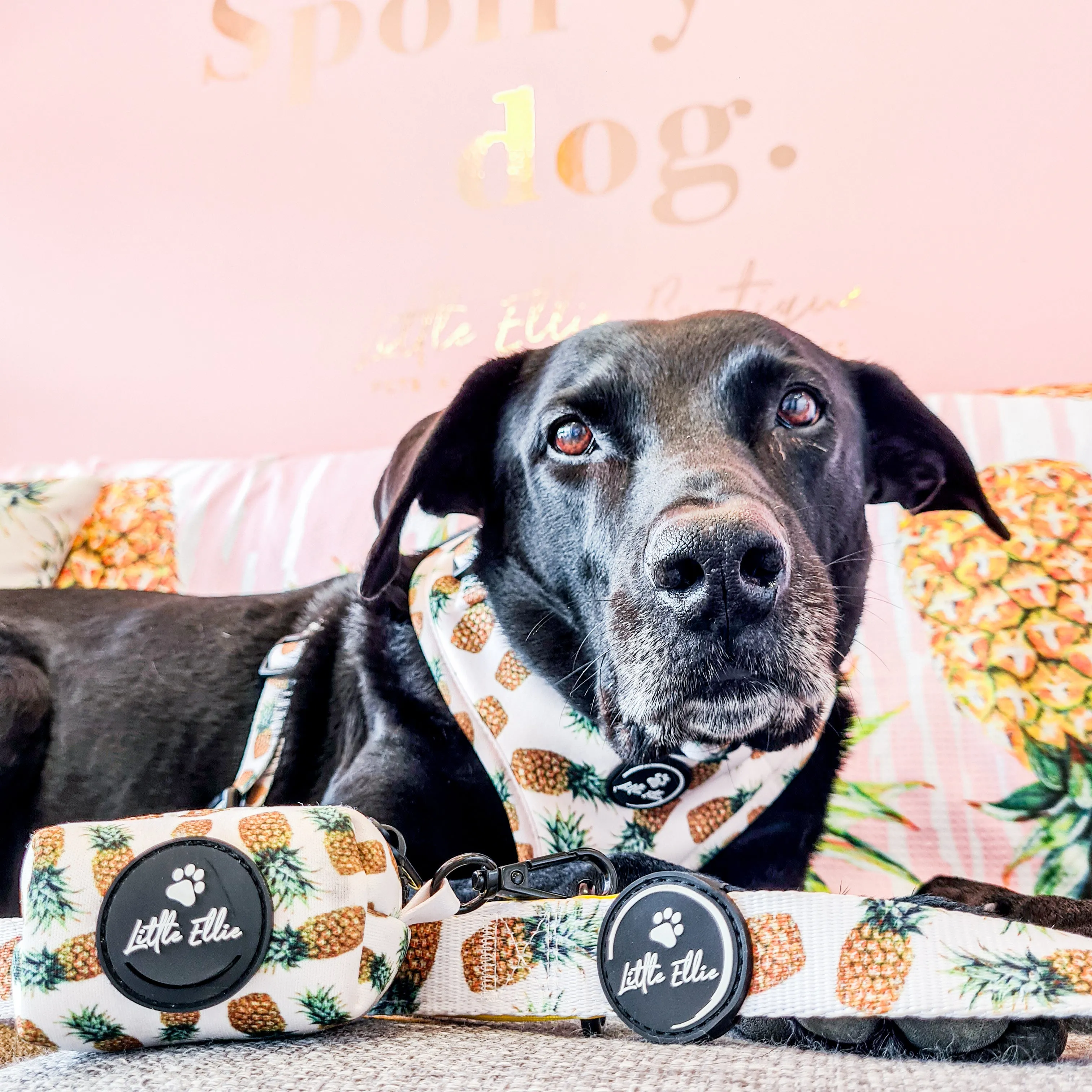 Dog Poop Bag Holder| Pineapple