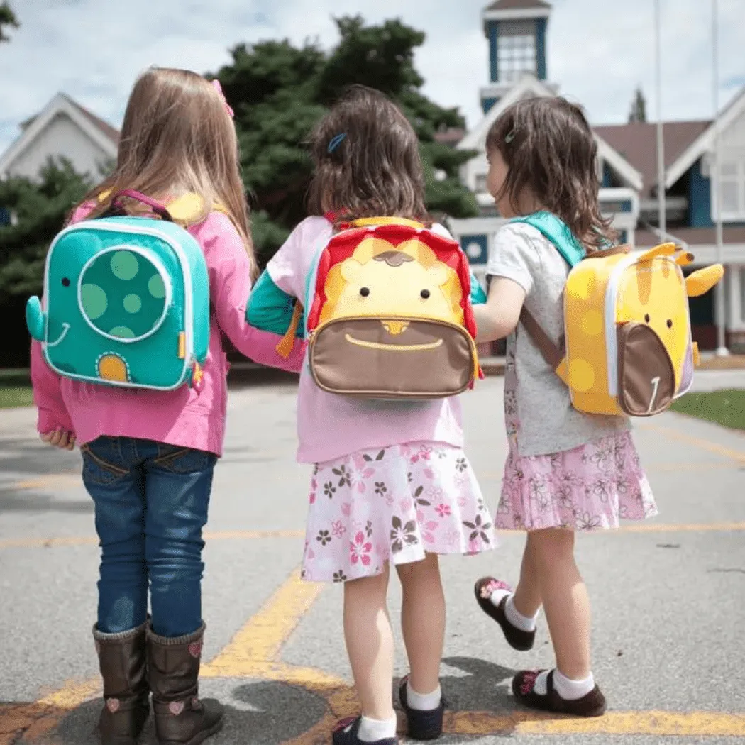 Marcus & Marcus- Insulated Backpacks/Lunch bags