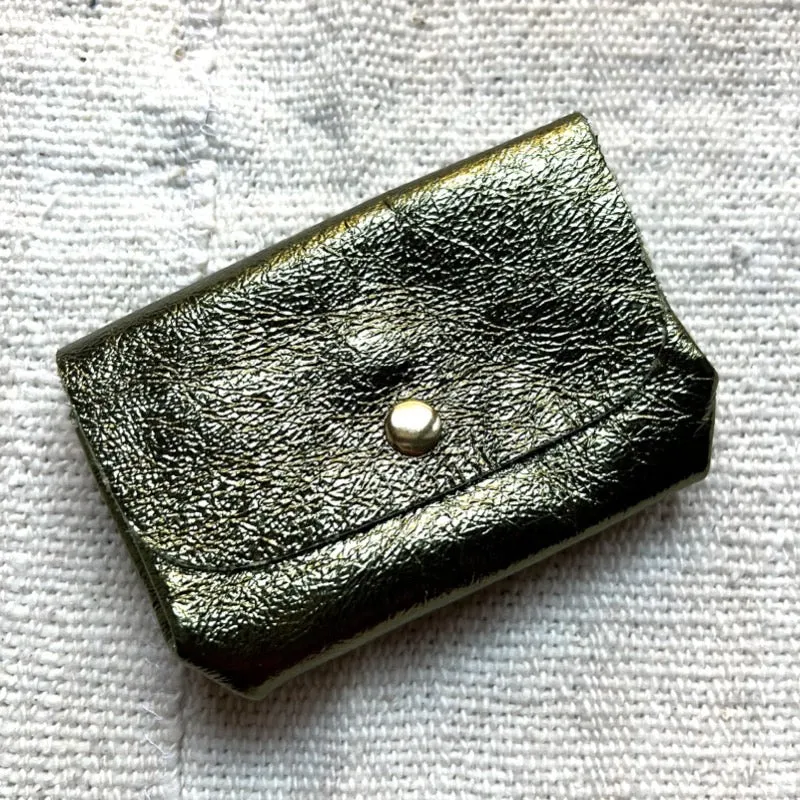Olive 3-Pocket Pouch - Paris Find!