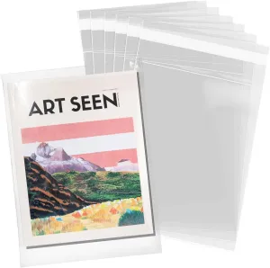 Pack It Chic - 9” X 12” (200 Pack) Clear Resealable Cello Poly Bags - Fits A4, Letter Sized Documents, Marketing Materials - Self Seal