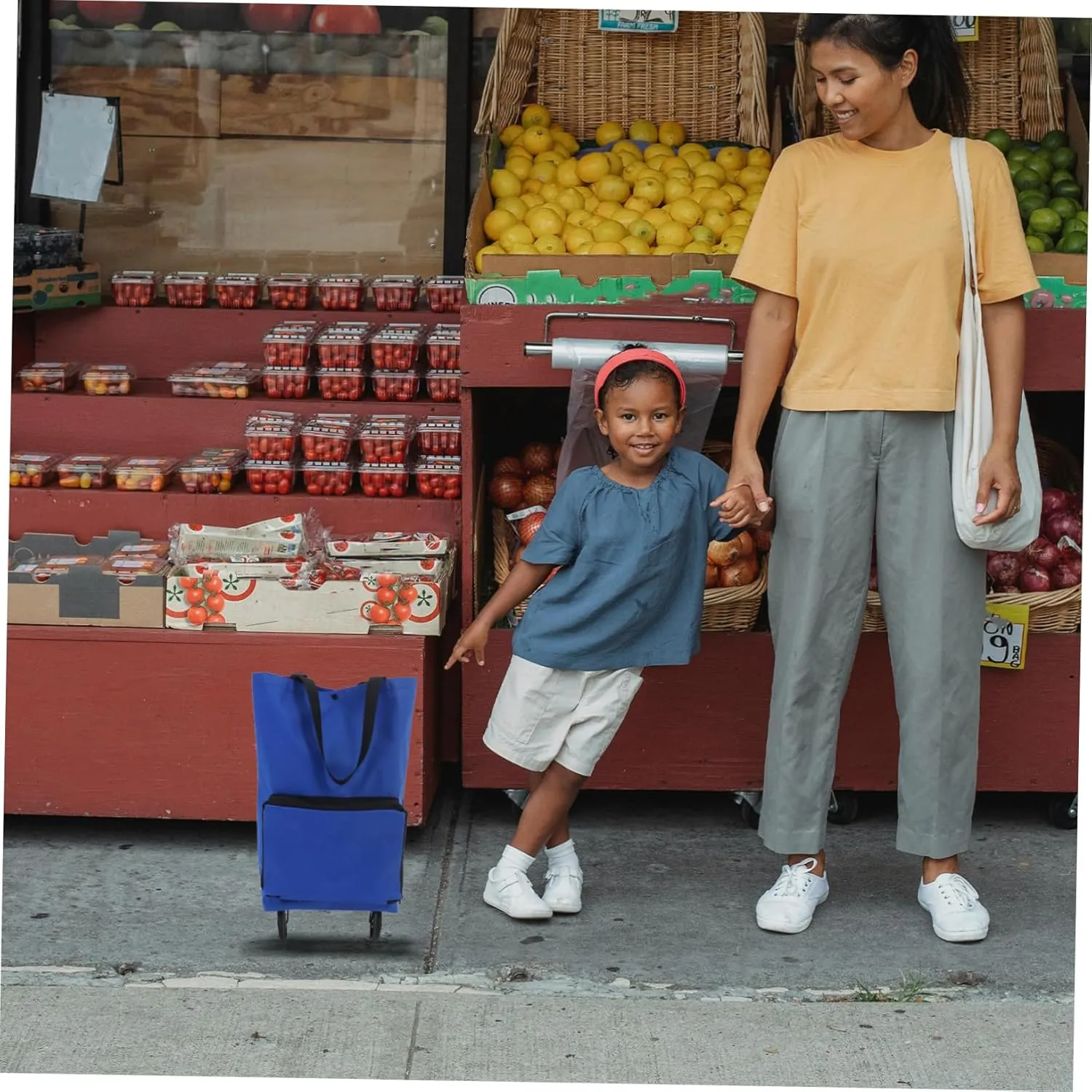 Shopping Trolley Shopping Bags Shopping Cart Bags Shopping Bag with Wheels Grocery Cart Bags Reusable Trolley Bags for Grocery Cart Trolley Bags for Shopping Cart Oxford Cloth Blue