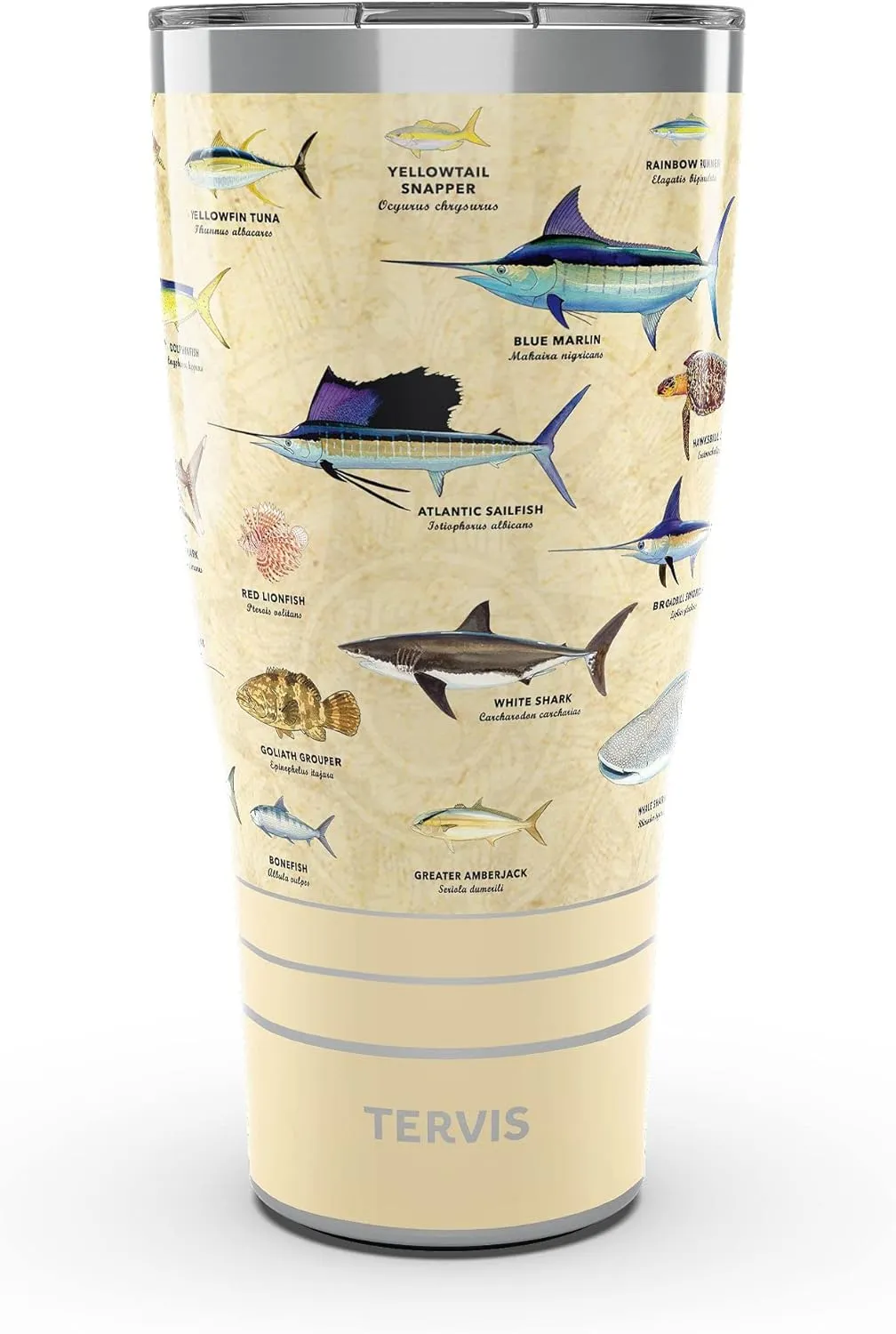 Tervis Traveler Guy Harvey Charts Triple Walled Insulated Tumbler Travel Cup Keeps Drinks Cold & Hot, 30oz, Stainless Steel