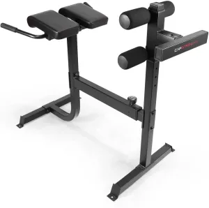 WF Athletic Supply 45/90 Degree Strength Roman Chair with Handle, Adjustable Hyperextension Ab Bench Multi-Functional Back Machines, Muscle Strength Training Fitness Weight Bench for Full Body Workout