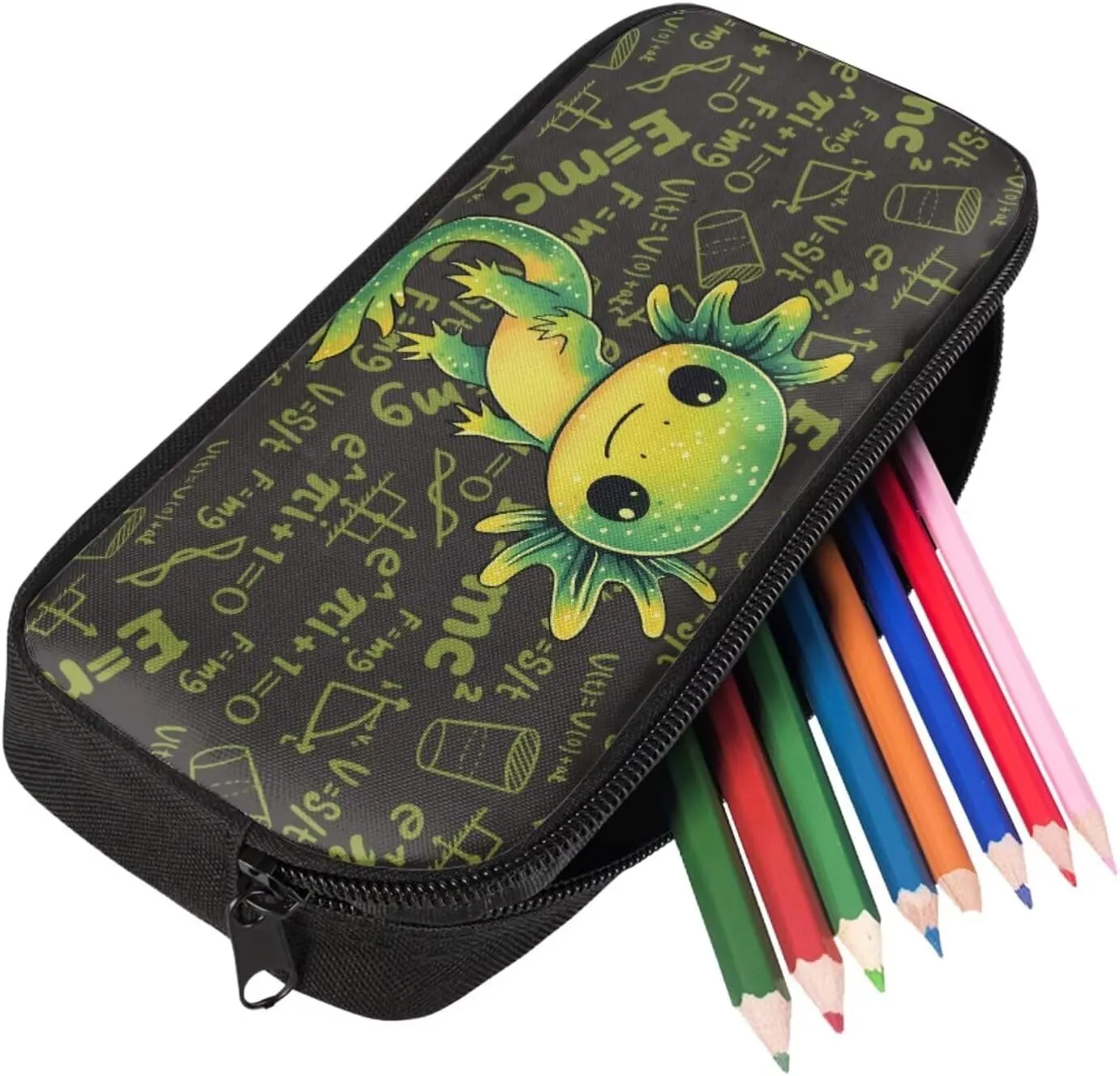 Ystardream Boys Green Axolotl Backpack for 5Th Grade School Bag with Luch Bag for Boys 17 Inch Middle School Daypack with Large Capacity Design Trendy Math Equation Print Pencil Case